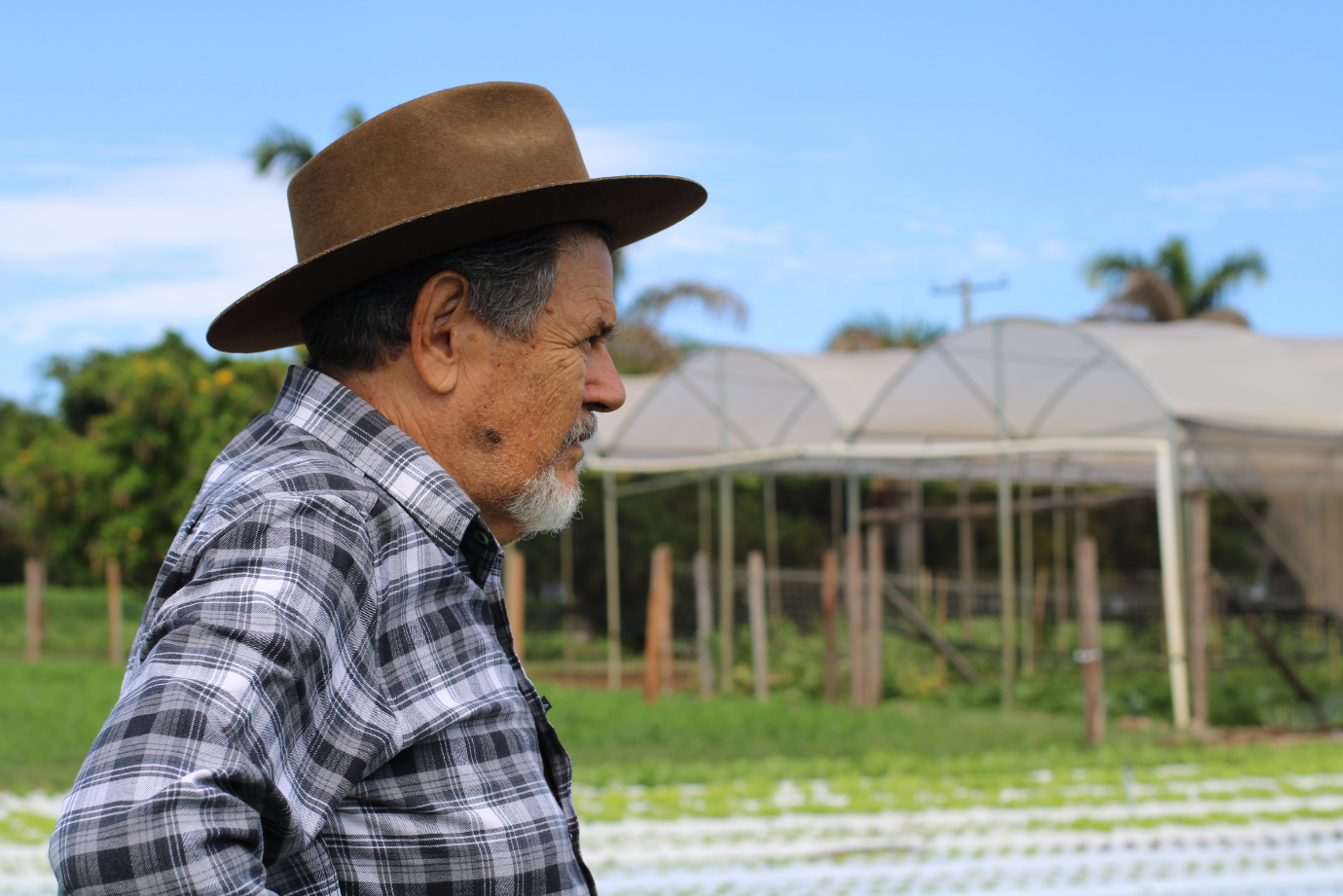 Quando o produtor rural pode pedir prorrogação da dívida com o banco?